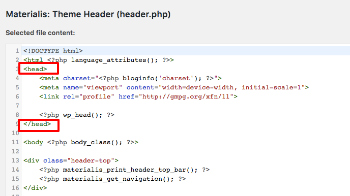  elemento <head> no arquivo header.php